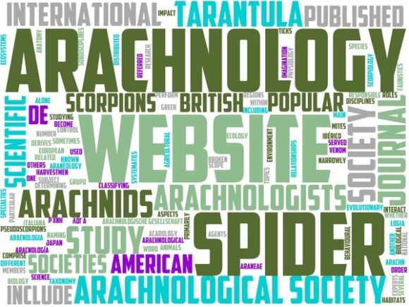 Arachnology Wordart Tumbler: A Vibrant, Hand-Drawn Wordcloud for Creative Expression