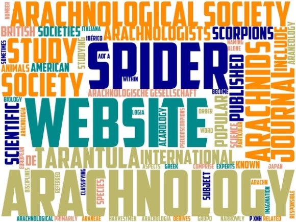 Araneology Wordart Crafting
