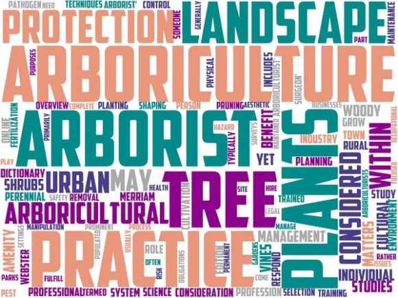 Arborist Wordart Tshirt