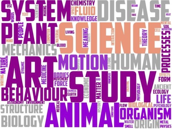 Archelogy Wordart Sticker: A Versatile Hand-Drawn Wordcloud for Creative Expression and Brand Storytelling