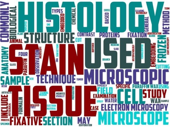 Aristology Wordart Banner