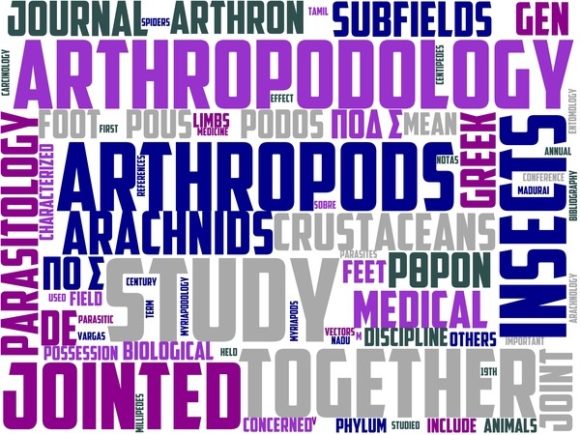 Arthropodology Wordart Sublimation
