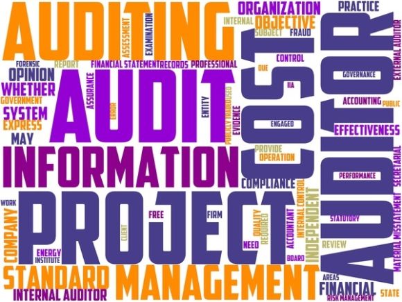 Auditor Wordart Banner: A Versatile Hand-Drawn Wordcloud for Authentic Visual Storytelling
